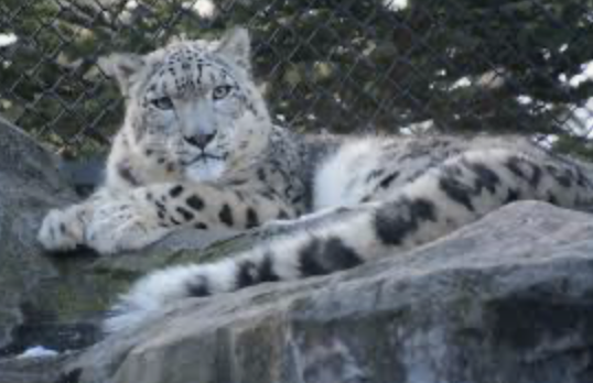 秋田市大森山動物園　デート