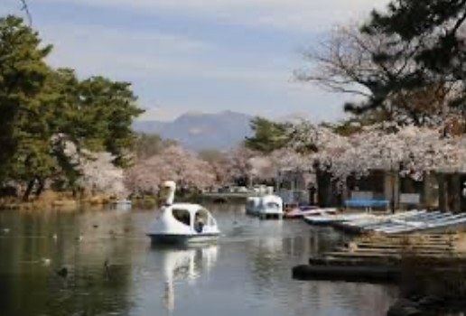 敷島公園　デート