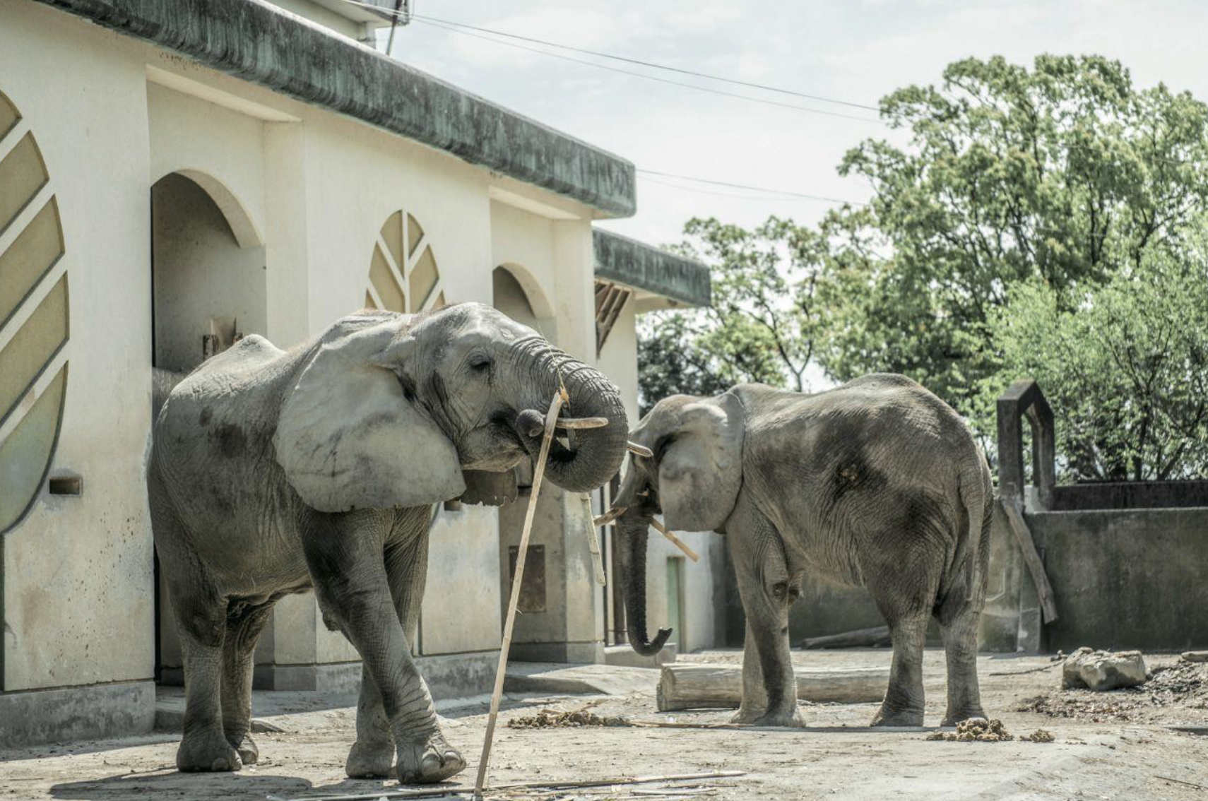 熊本市動植物園　観光