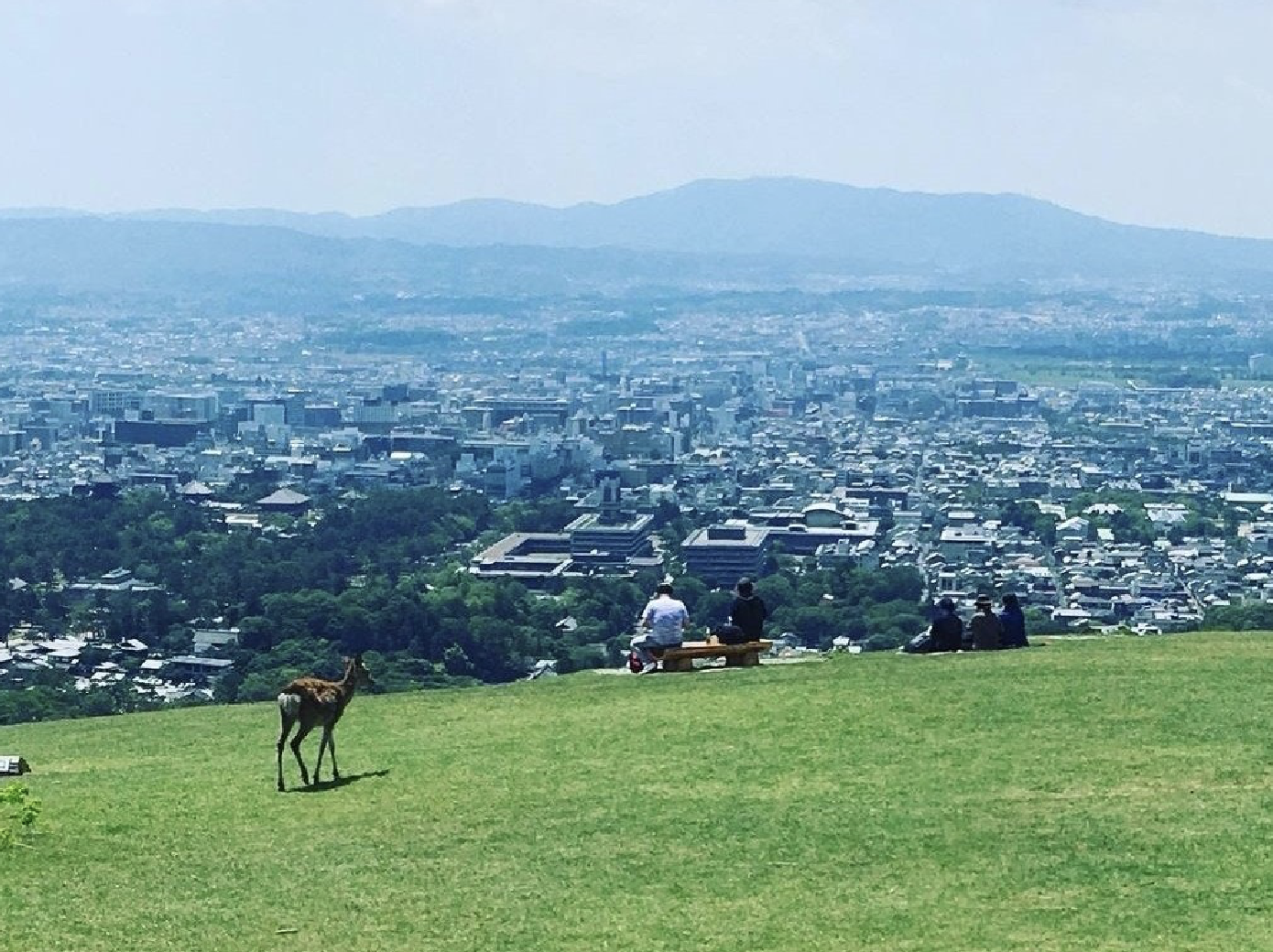 若草山　デート