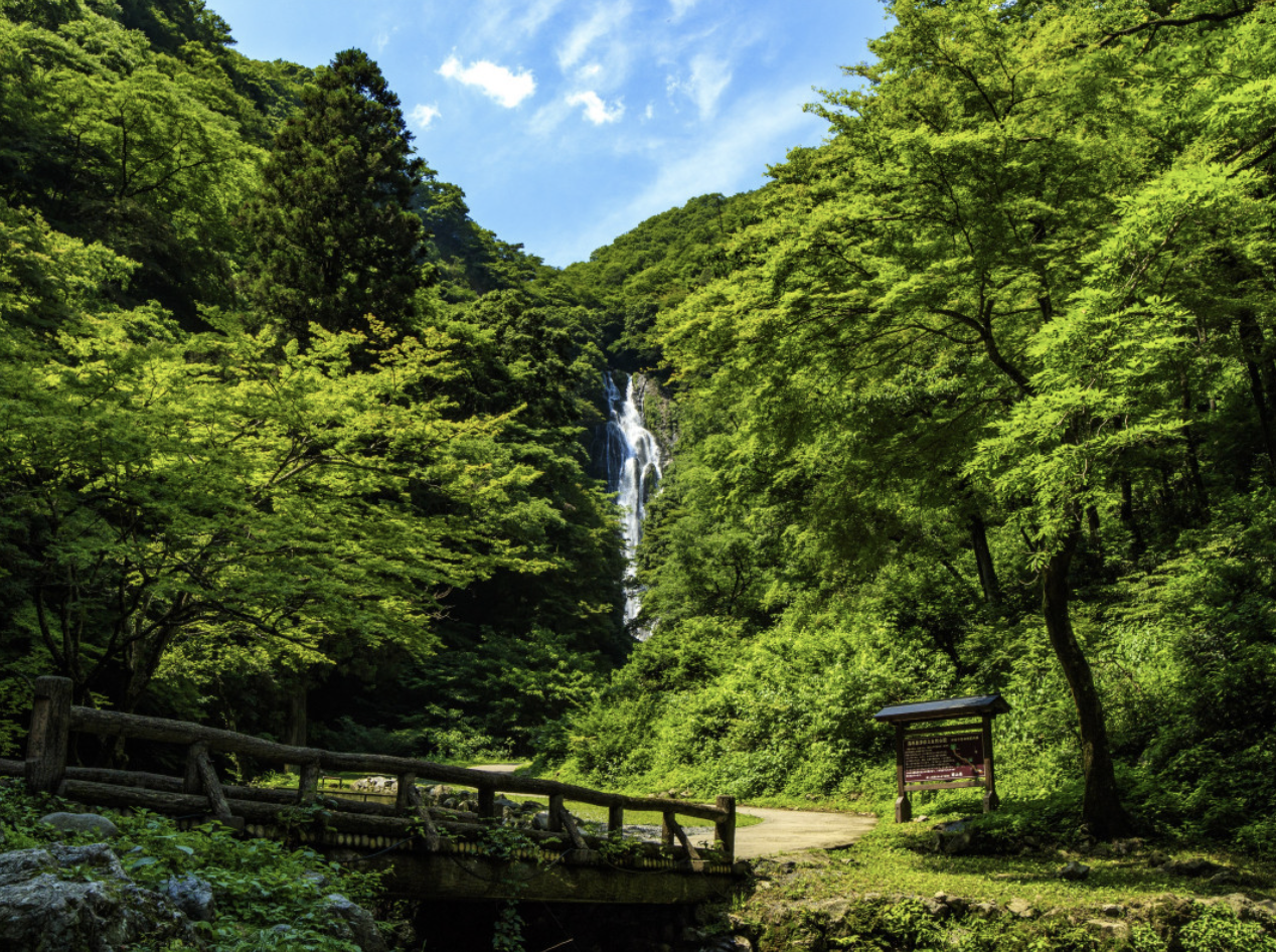 神庭の滝　デート